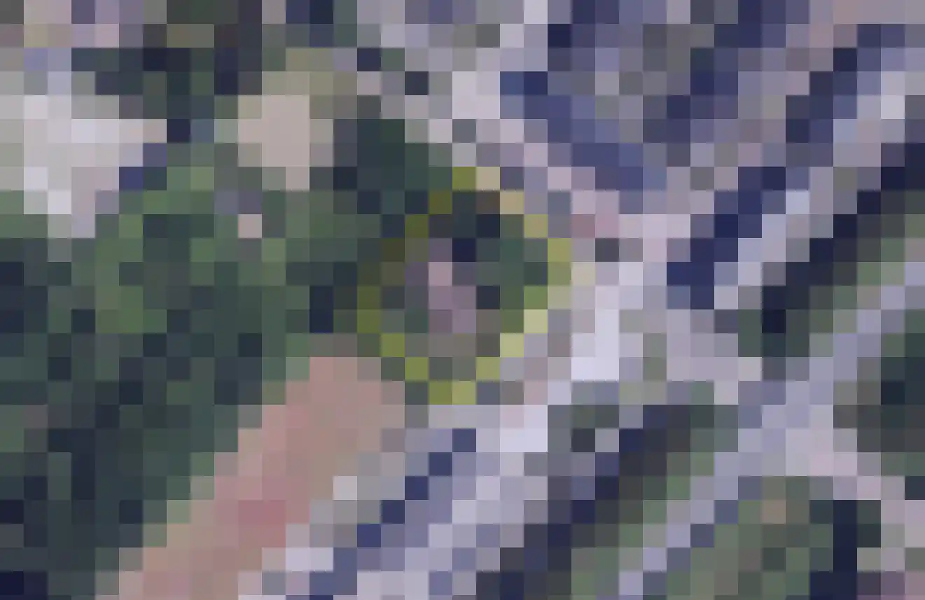 Van der Weijdenlaan 9 Noordwijkerhout thumbnail 67