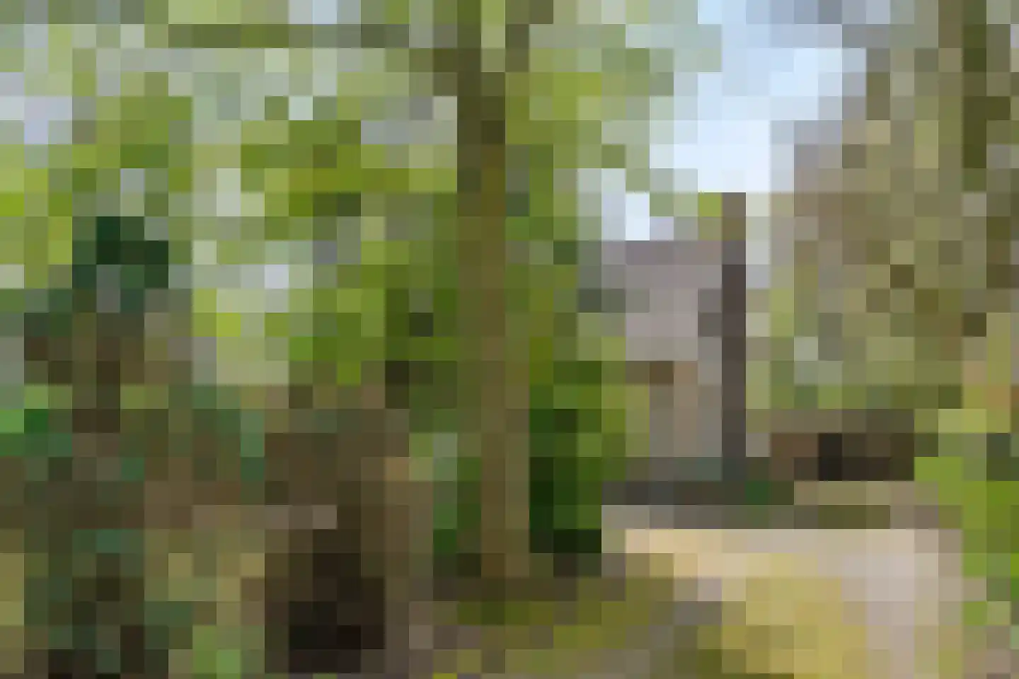 Van der Weijdenlaan 9 Noordwijkerhout thumbnail 7