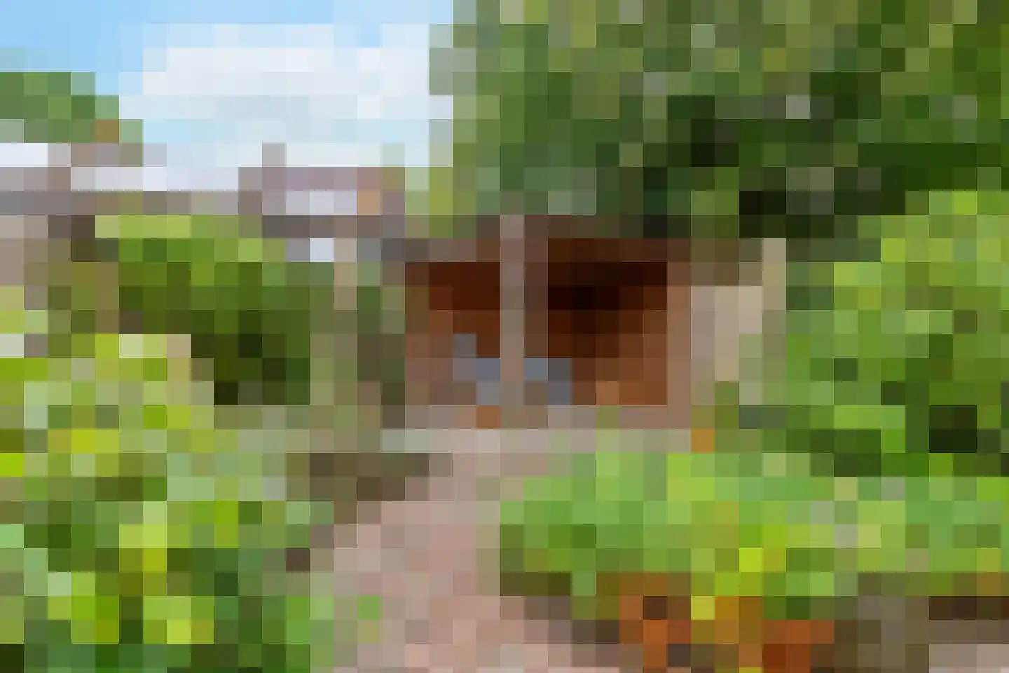 Van der Weijpad 16 Amersfoort thumbnail 5