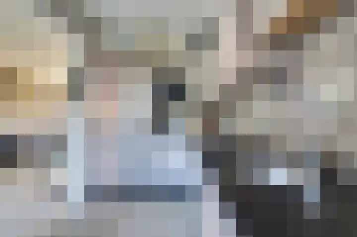 van der Weijstrjitte 41 Exmorra thumbnail 11