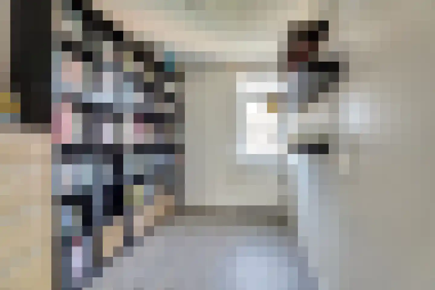 van der Weijstrjitte 41 Exmorra thumbnail 18