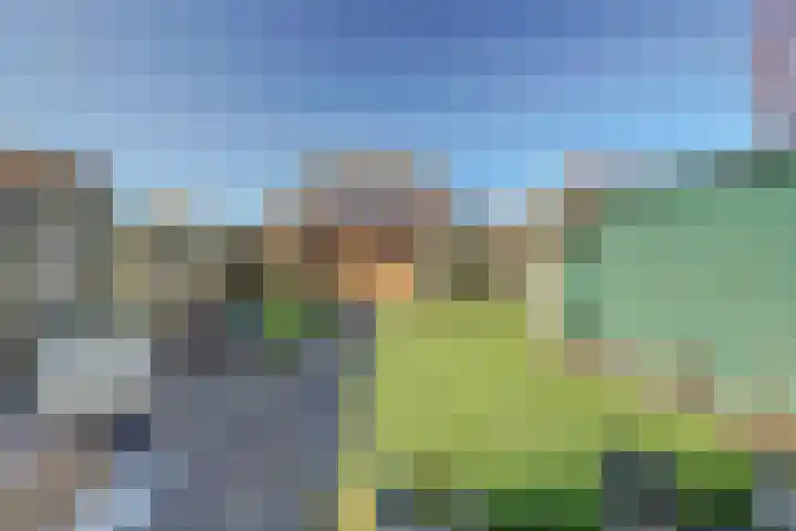 van der Weijstrjitte 41 Exmorra thumbnail 25