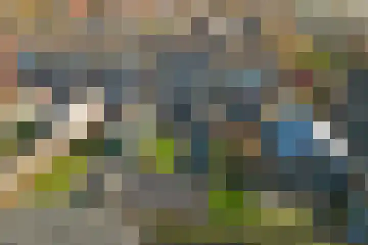van der Weijstrjitte 41 Exmorra thumbnail 27