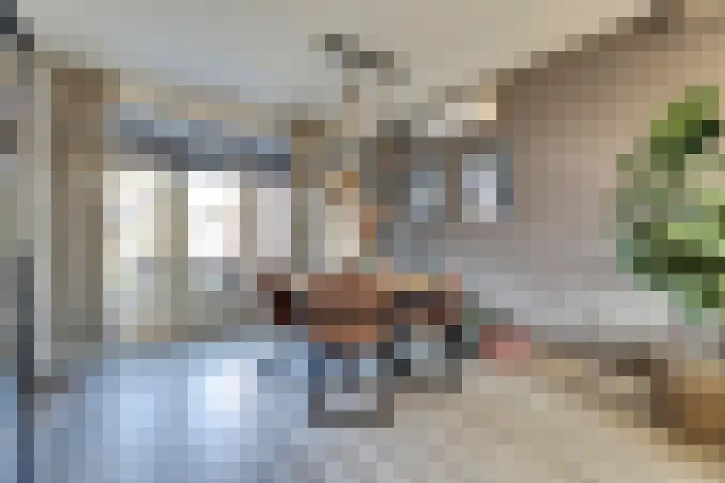van der Weijstrjitte 41 Exmorra thumbnail 7