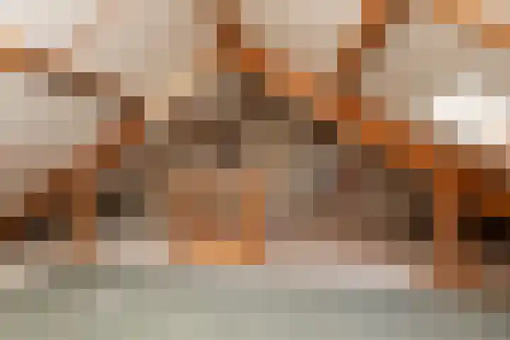 van der Weijstrjitte 49 Exmorra thumbnail 26