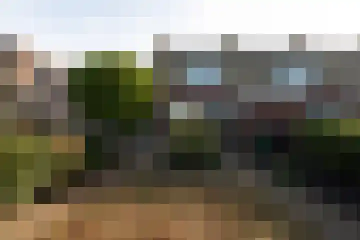 van der Weijstrjitte 49 Exmorra thumbnail 27