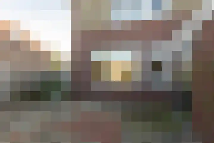 van der Weijstrjitte 49 Exmorra thumbnail 28