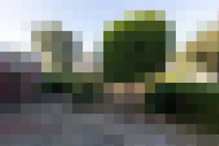 van der Weijstrjitte 49 Exmorra thumbnail 29