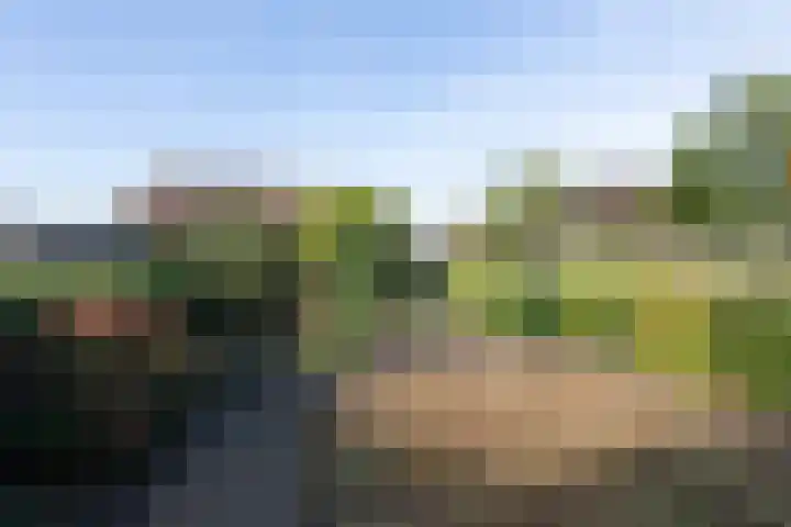 van der Weijstrjitte 49 Exmorra thumbnail 30
