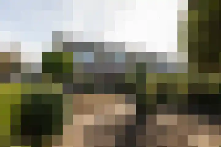 van der Weijstrjitte 49 Exmorra thumbnail 31