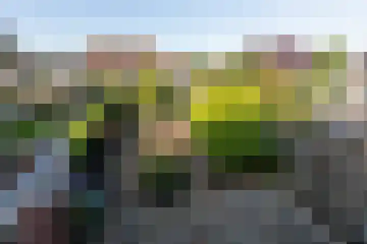 van der Weijstrjitte 49 Exmorra thumbnail 32
