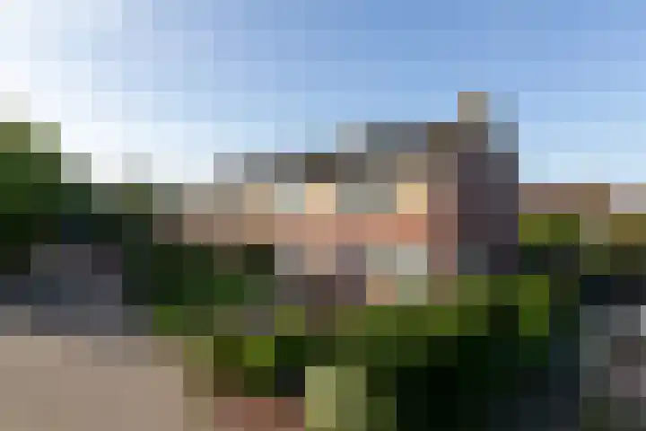 van der Weijstrjitte 49 Exmorra thumbnail 33