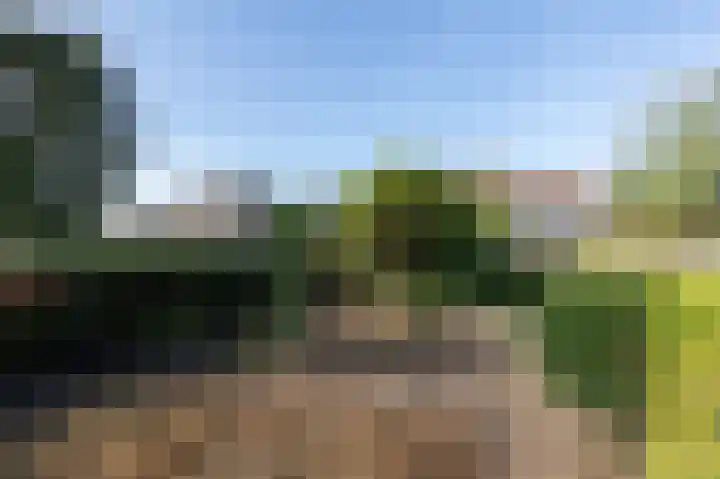 van der Weijstrjitte 49 Exmorra thumbnail 4