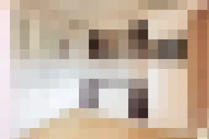 van der Weijstrjitte 49 Exmorra thumbnail 8