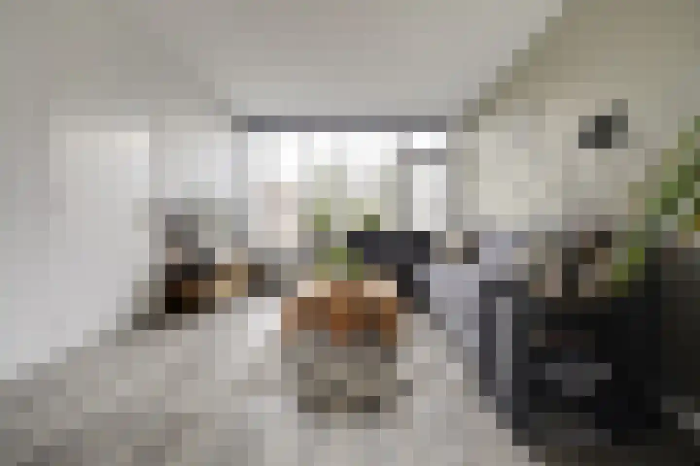 Van der Wellenstraat 8 Steenbergen thumbnail 10