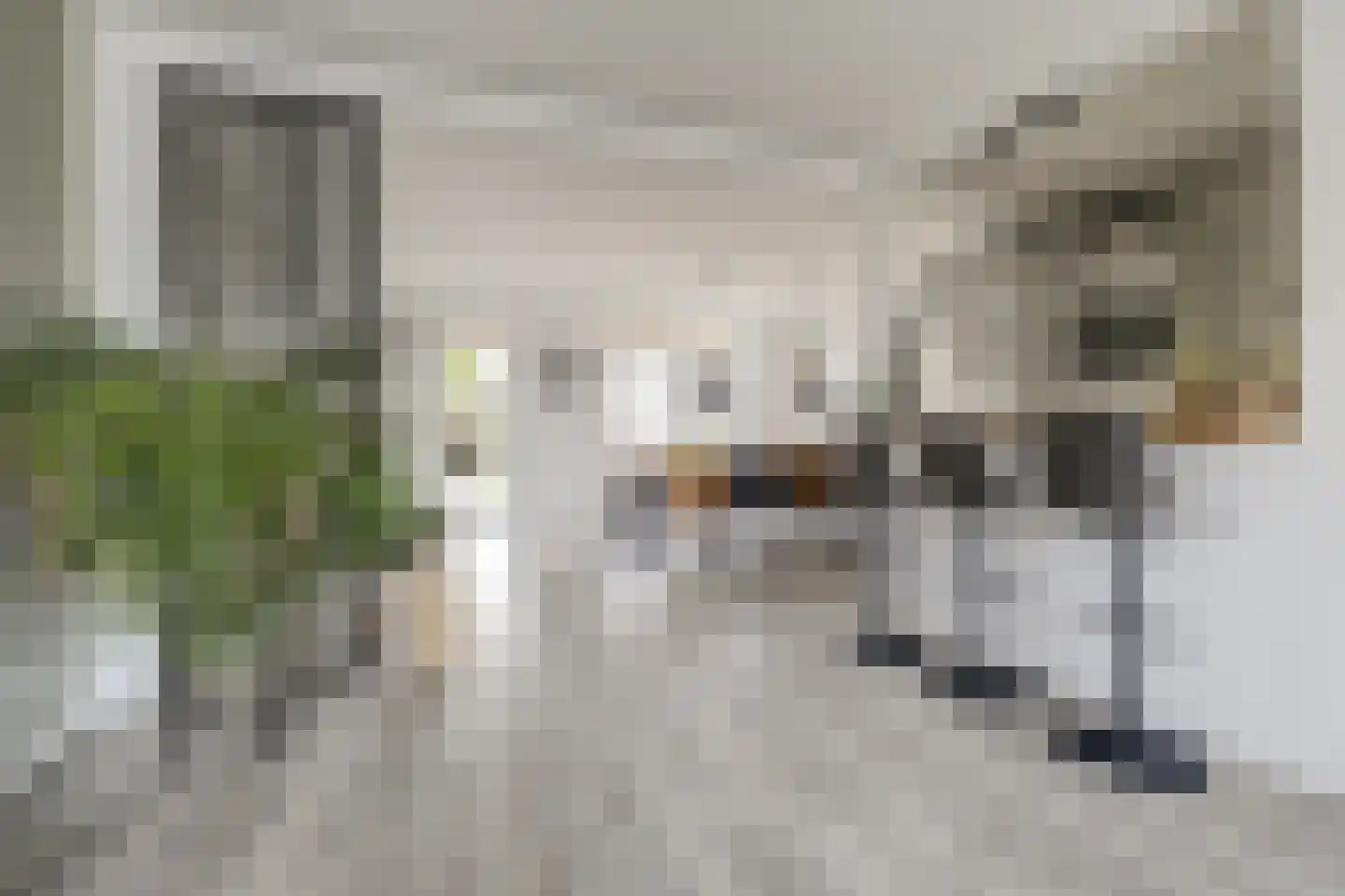 Van der Wellenstraat 8 Steenbergen thumbnail 12