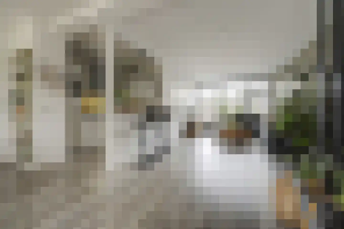 Van der Wellenstraat 8 Steenbergen thumbnail 13