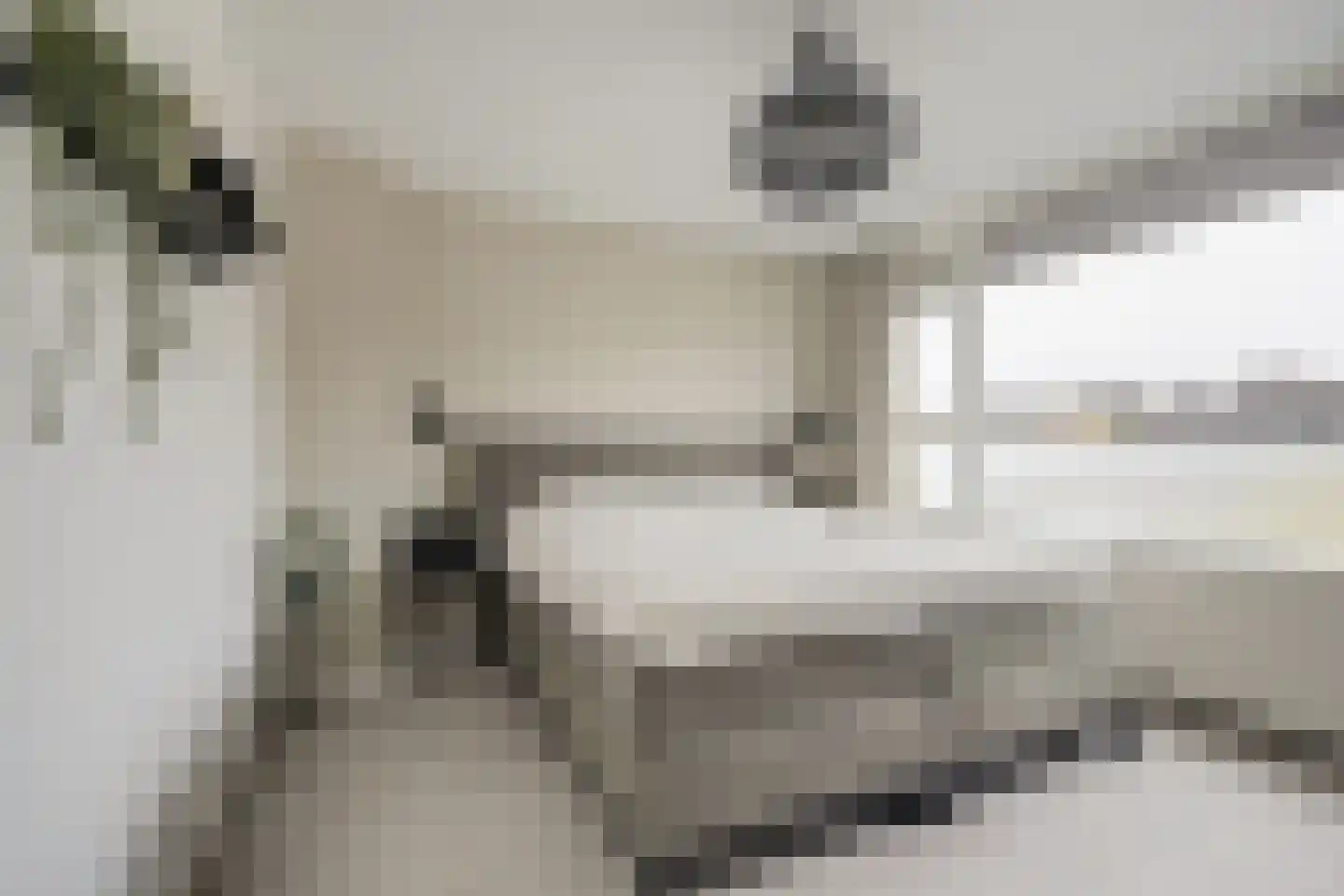 Van der Wellenstraat 8 Steenbergen thumbnail 18