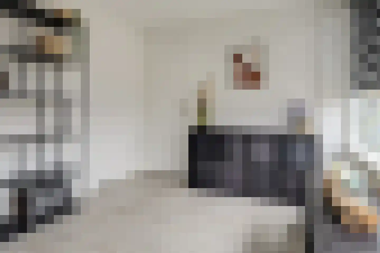 Van der Wellenstraat 8 Steenbergen thumbnail 23