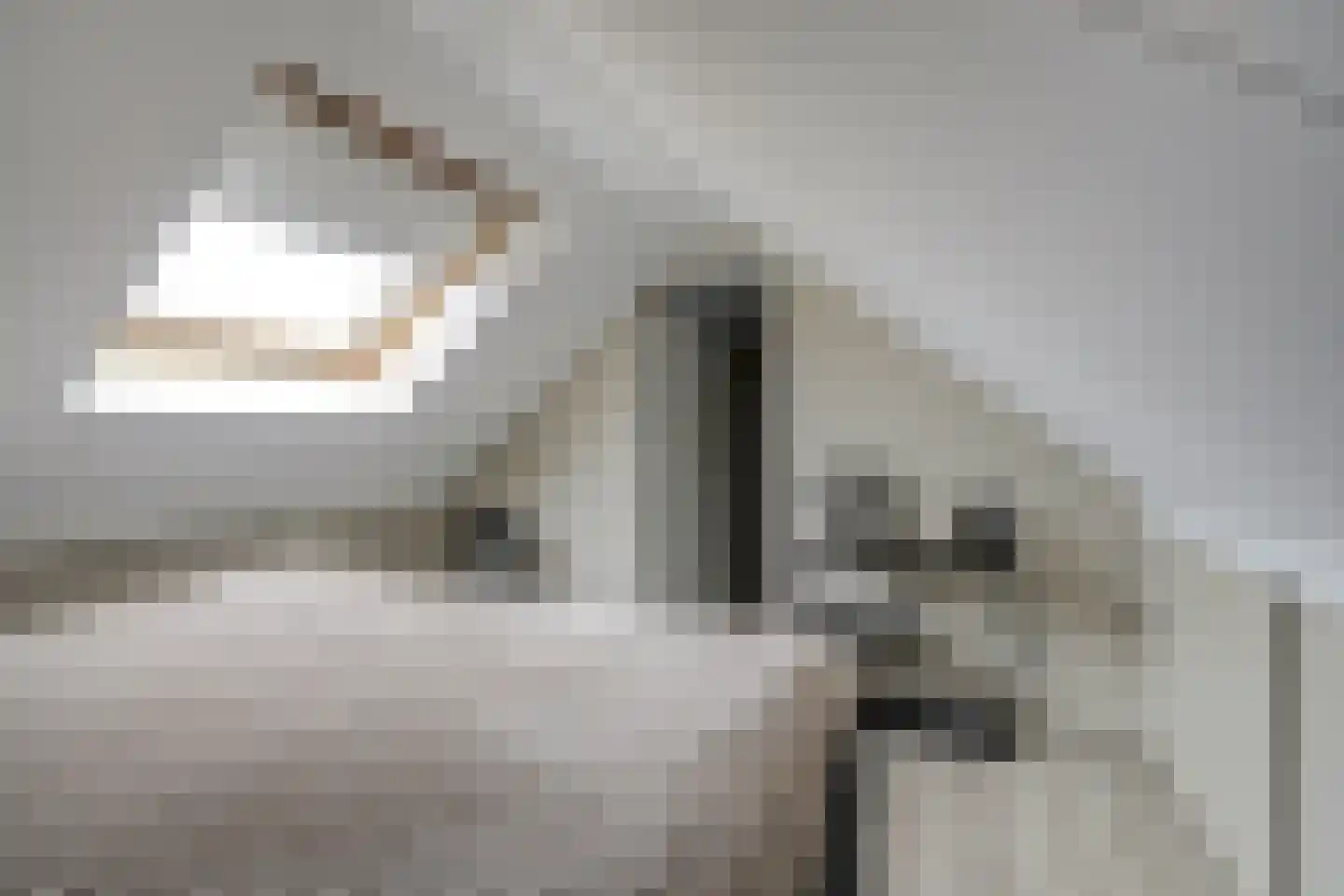 Van der Wellenstraat 8 Steenbergen thumbnail 27