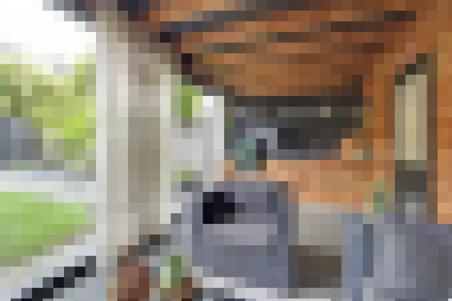 Van der Wellenstraat 8 Steenbergen thumbnail 28