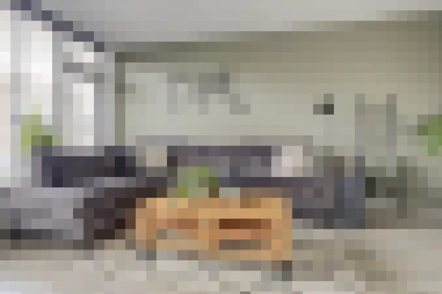 Van der Wellenstraat 8 Steenbergen thumbnail 9