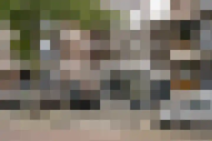 van der Werffstraat 104 Vlaardingen thumbnail 8