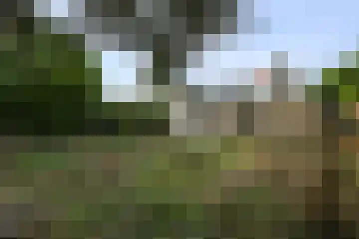 Van der Werffstraat 13 Zoetermeer thumbnail 26
