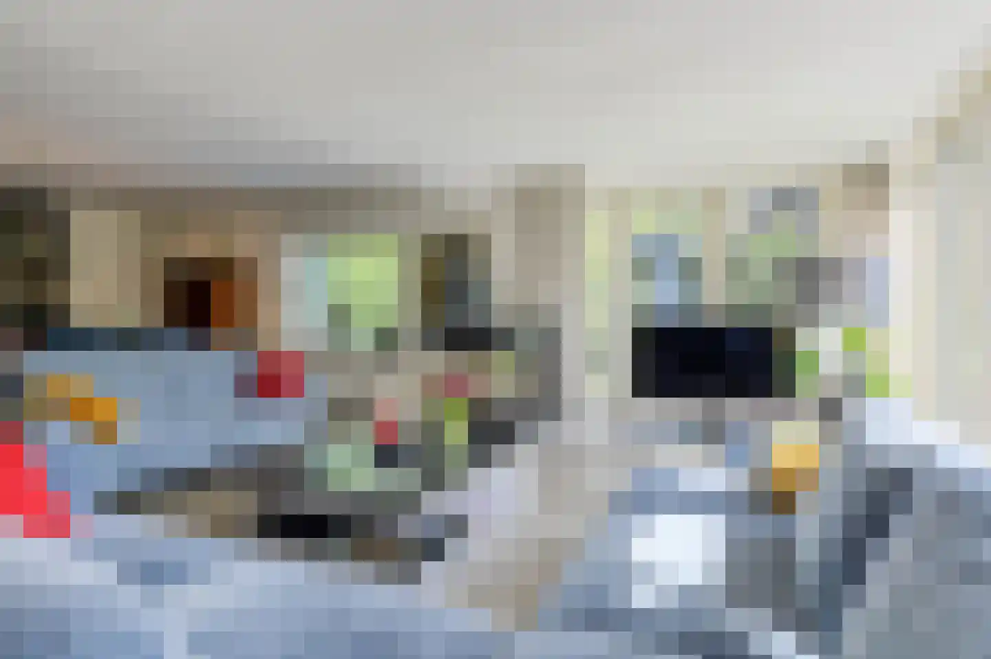 Van der Werffstraat 15 Zoetermeer thumbnail 32