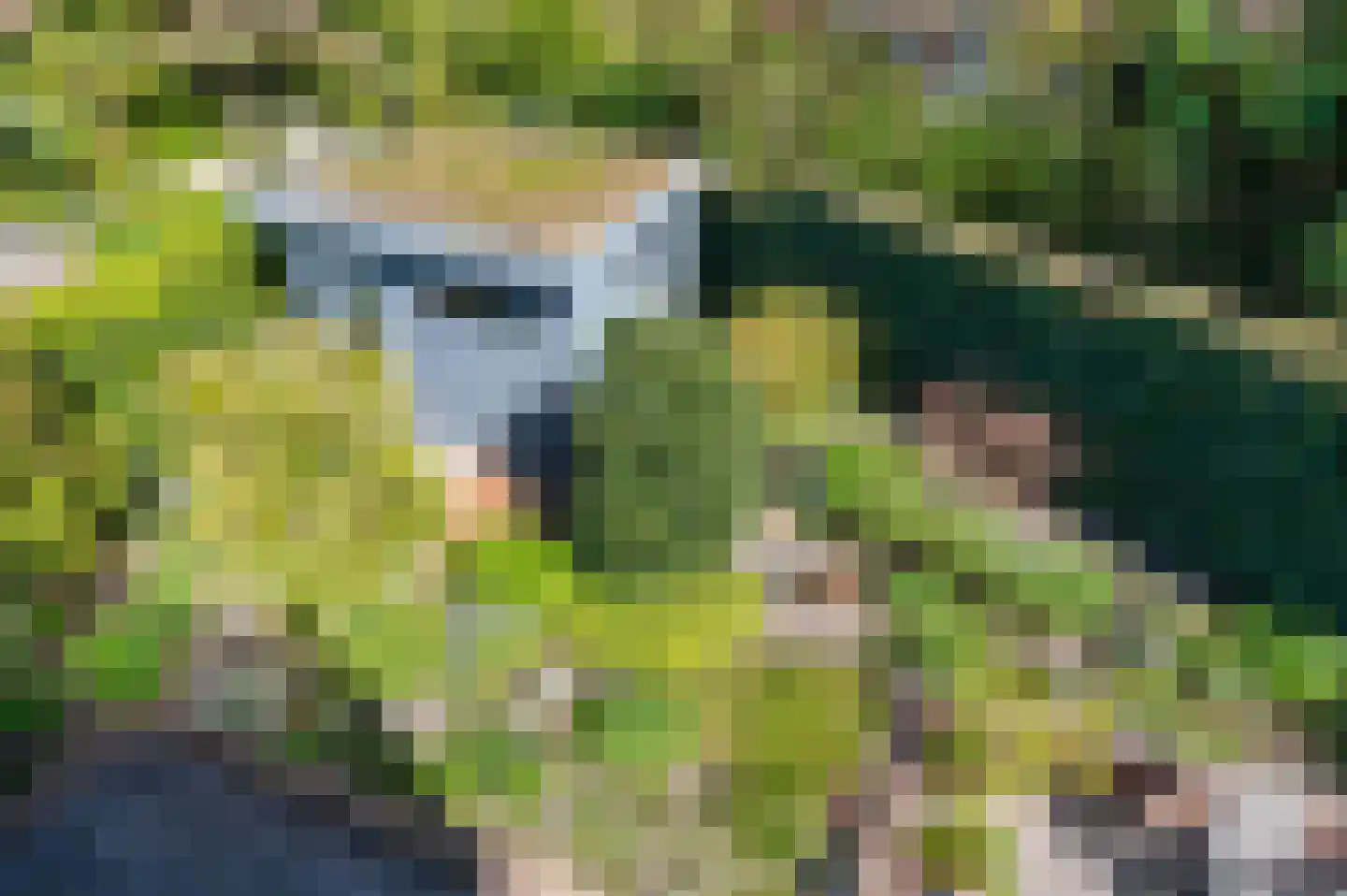 Van der Werffstraat 15 Zoetermeer thumbnail 75