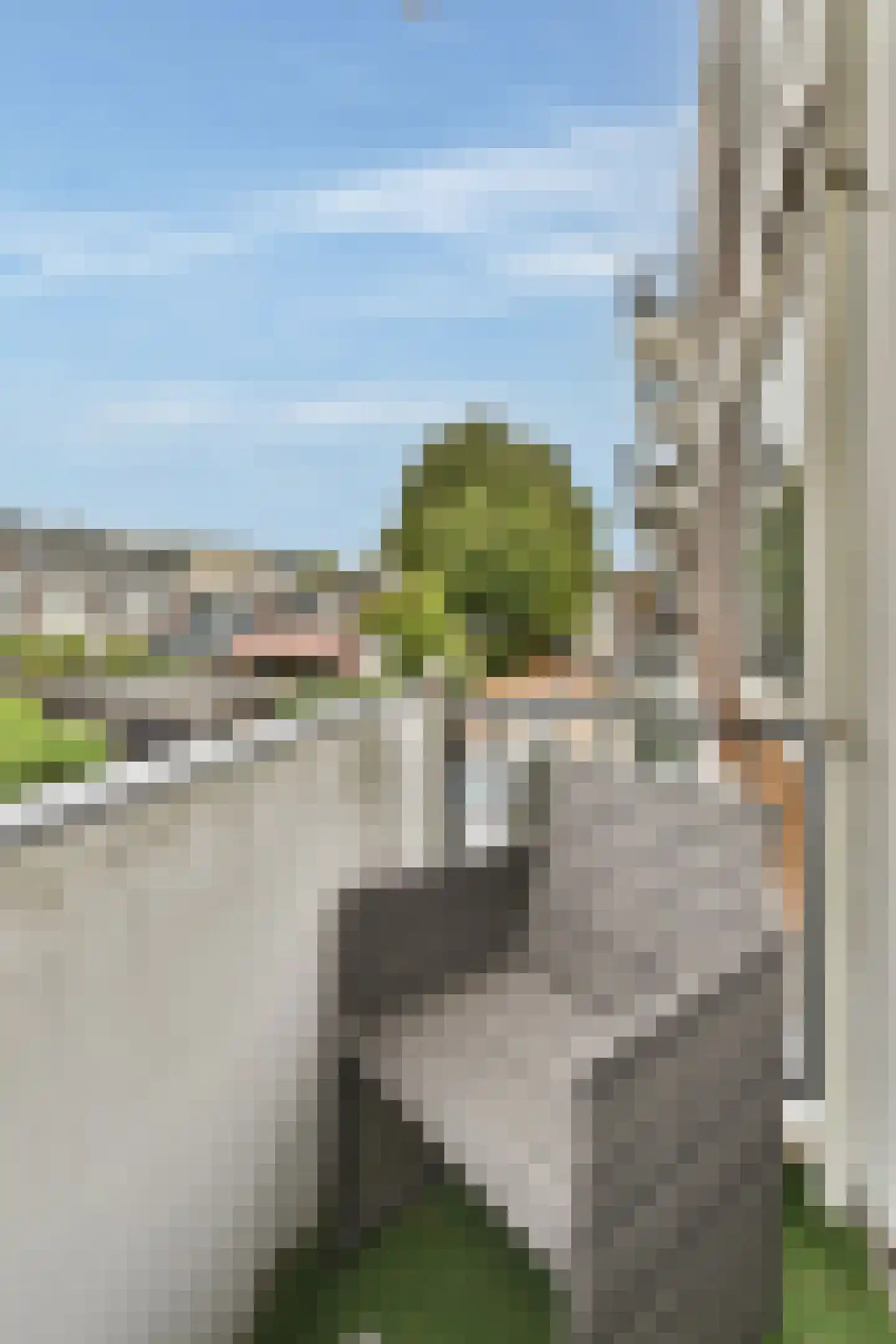van der Werffstraat 196 Vlaardingen thumbnail 15