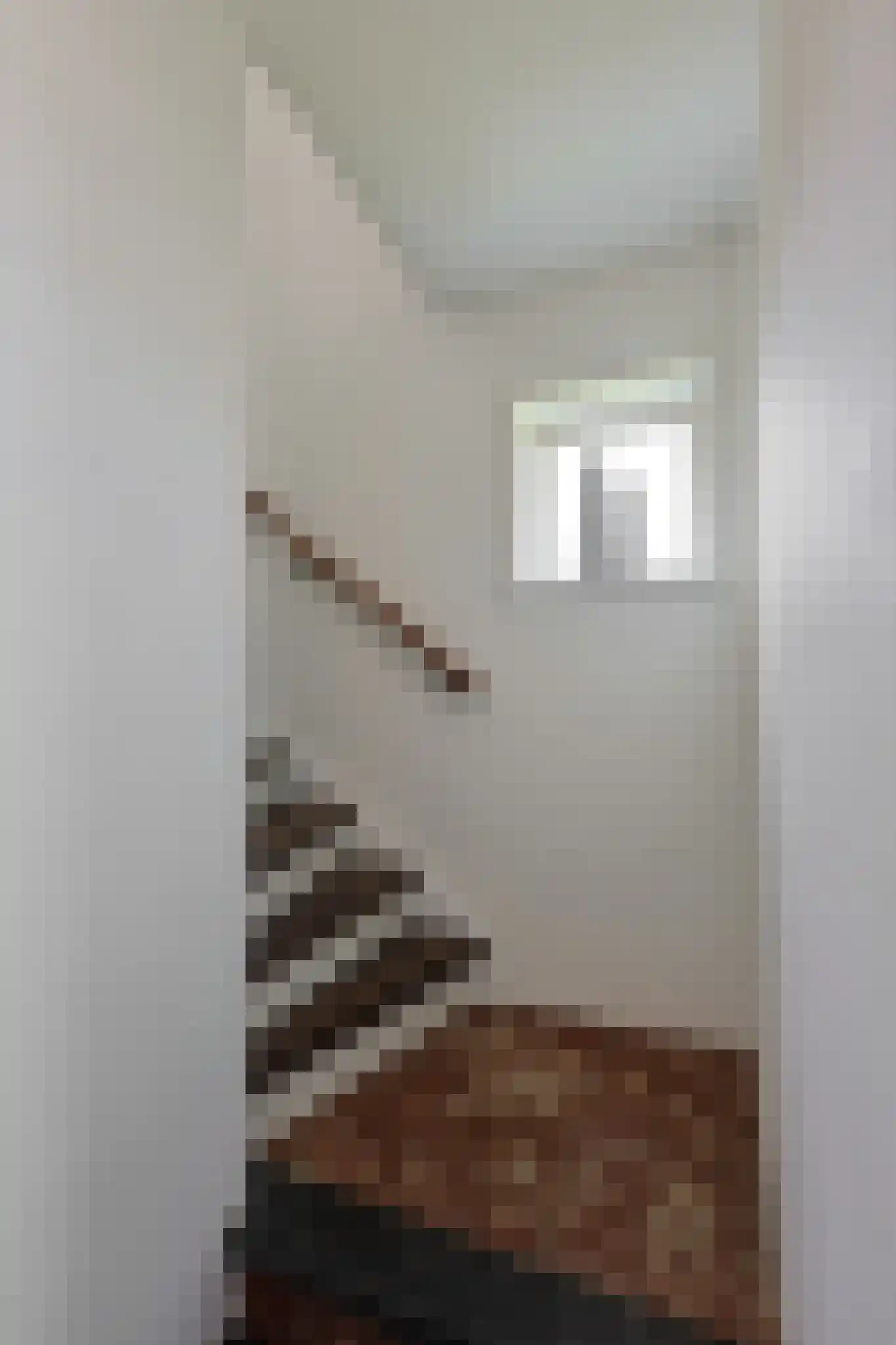 van der Werffstraat 2 Eindhoven thumbnail 8