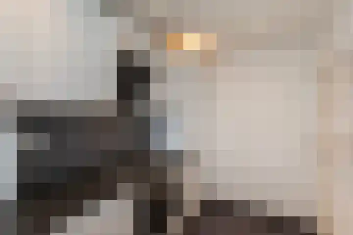 van der Werffstraat 244 Vlaardingen thumbnail 10