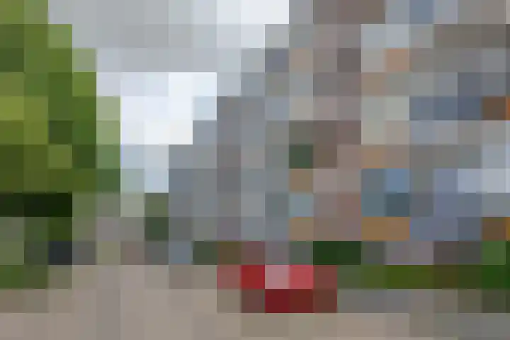 van der Werffstraat 246 Vlaardingen thumbnail 25