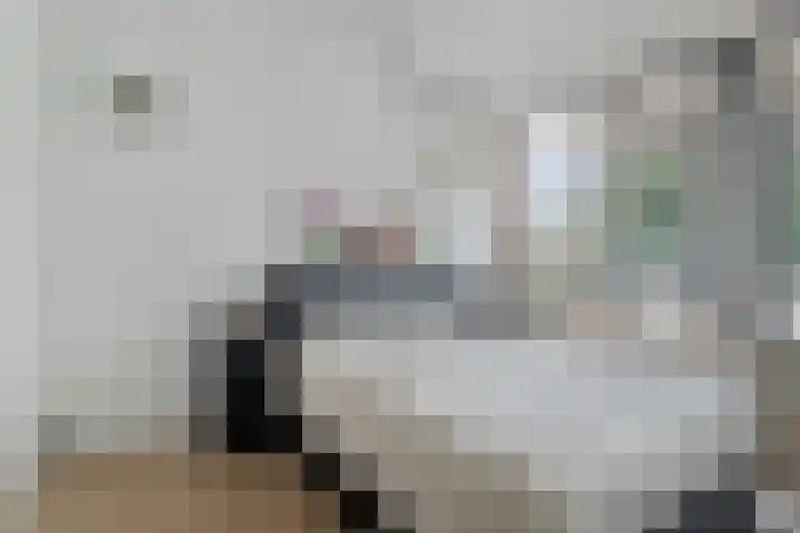 van der Werffstraat 278 Vlaardingen thumbnail 8