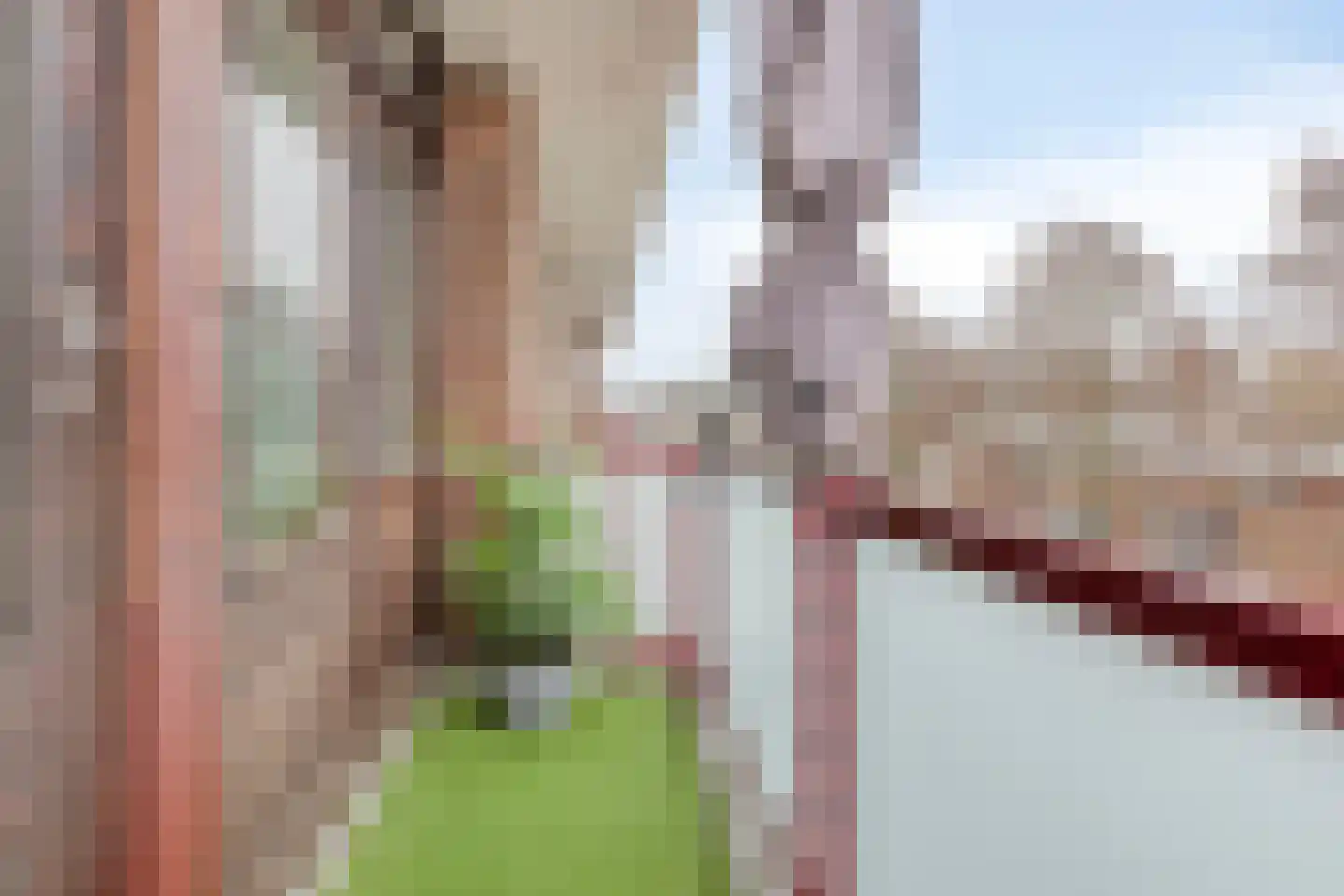 van der Werffstraat 294 Vlaardingen thumbnail 13