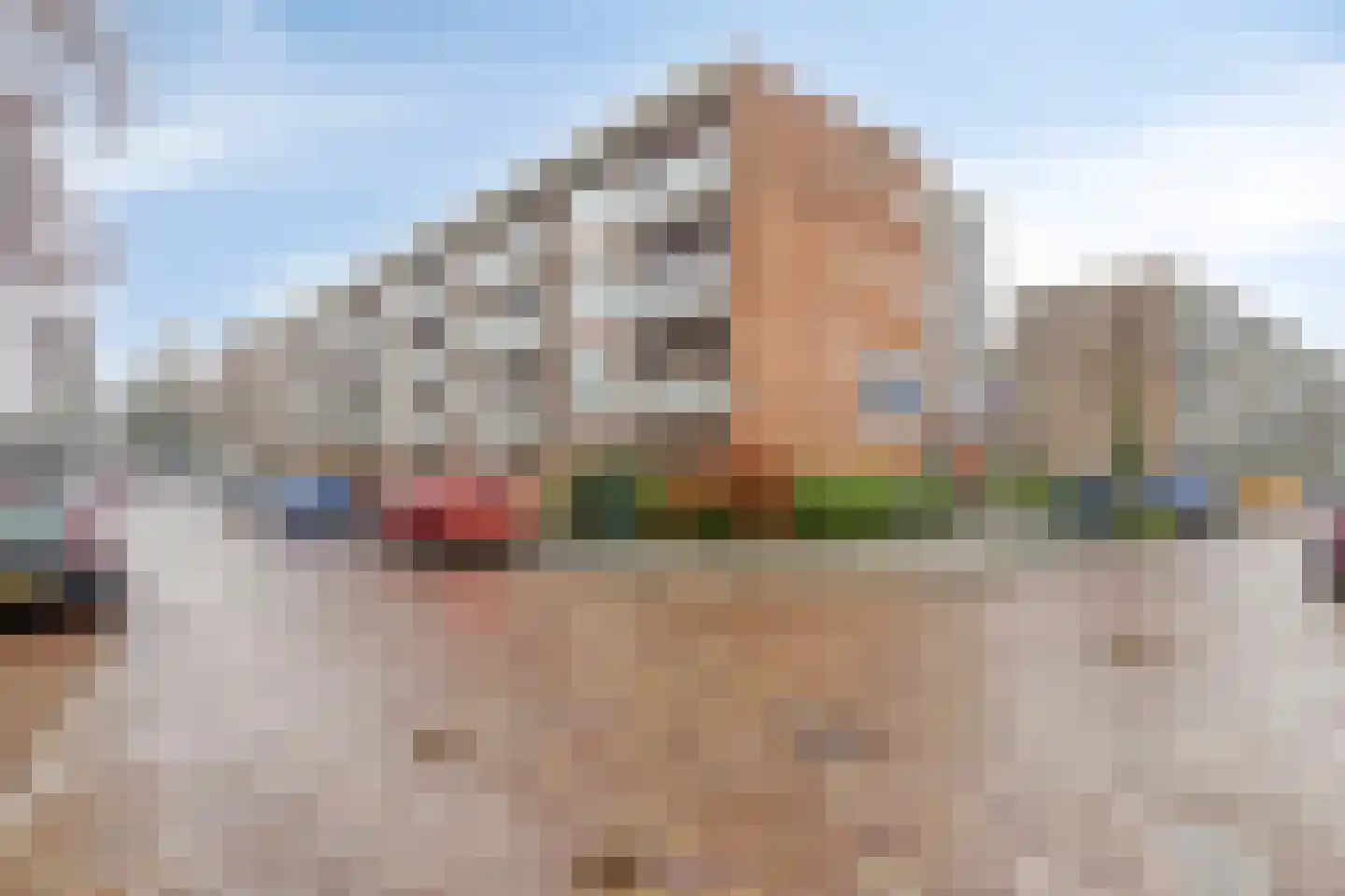 van der Werffstraat 294 Vlaardingen thumbnail 25