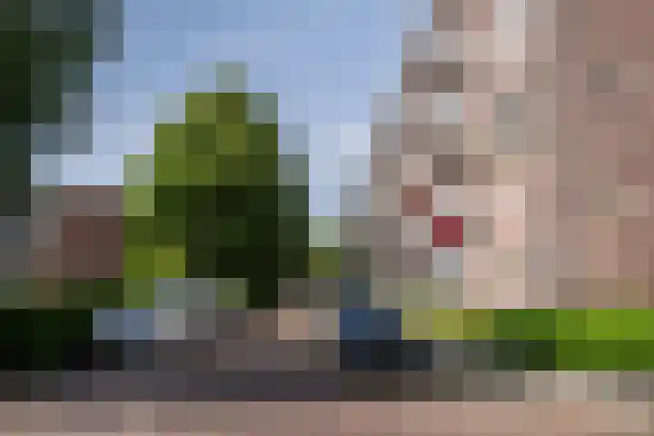 van der Werffstraat 310 Vlaardingen thumbnail 19