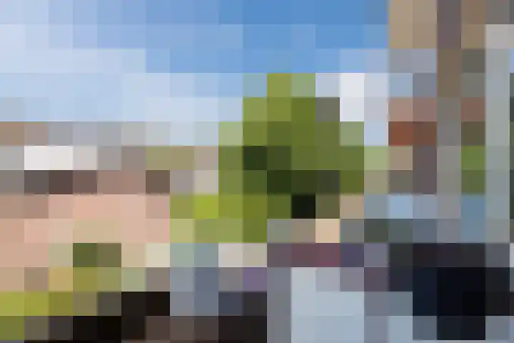 van der Werffstraat 324 Vlaardingen thumbnail 30