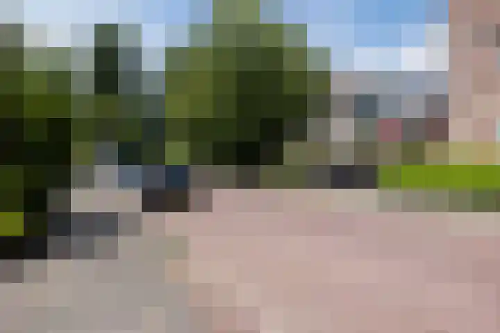 van der Werffstraat 324 Vlaardingen thumbnail 41