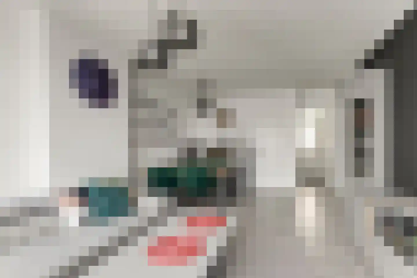 van der Werffstraat 360 Vlaardingen thumbnail 11