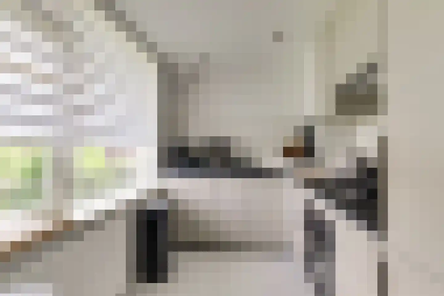 van der Werffstraat 360 Vlaardingen thumbnail 4