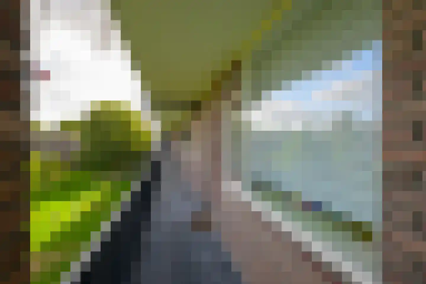 van der Werffstraat 360 Vlaardingen thumbnail 7