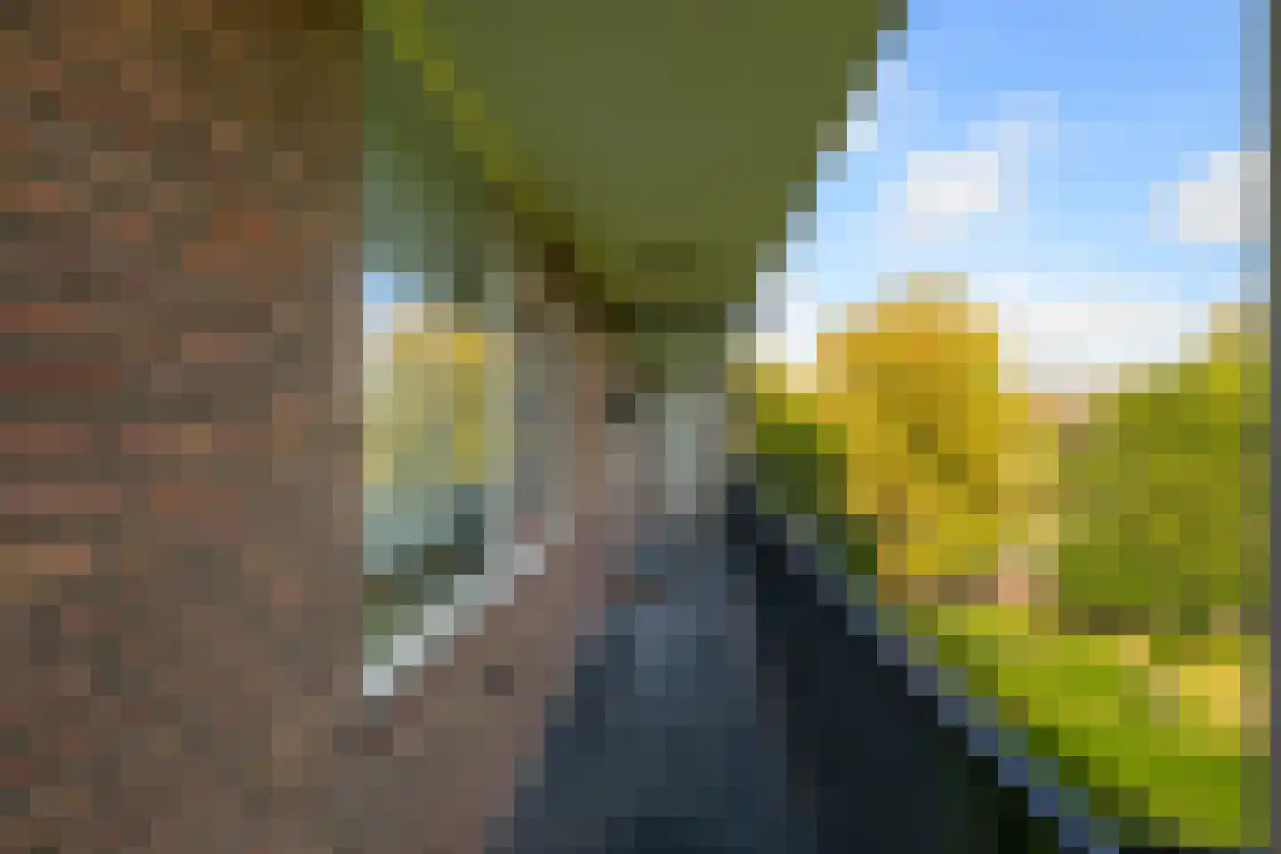 van der Werffstraat 360 Vlaardingen thumbnail 8