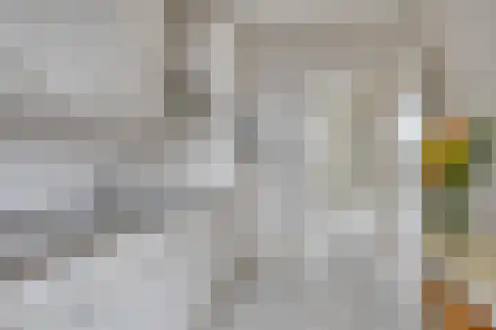 van der Werffstraat 39 Eindhoven thumbnail 11