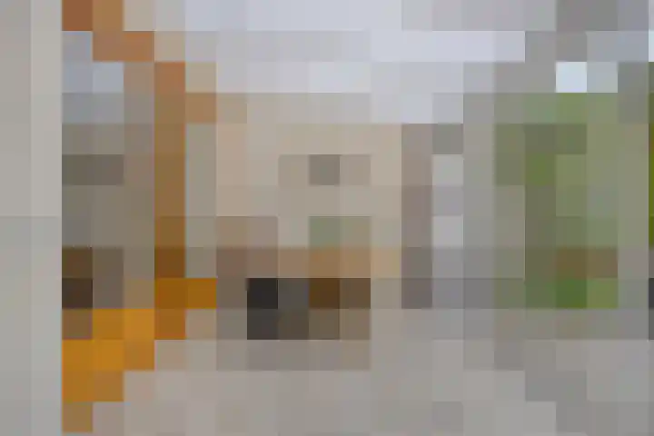 van der Werffstraat 39 Eindhoven thumbnail 12