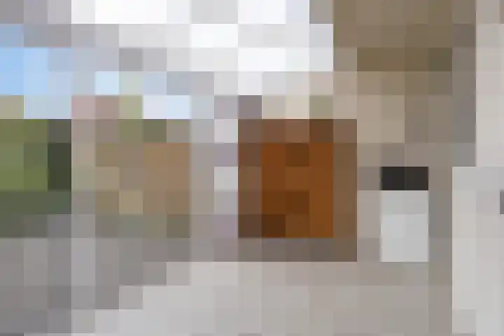 van der Werffstraat 39 Eindhoven thumbnail 13