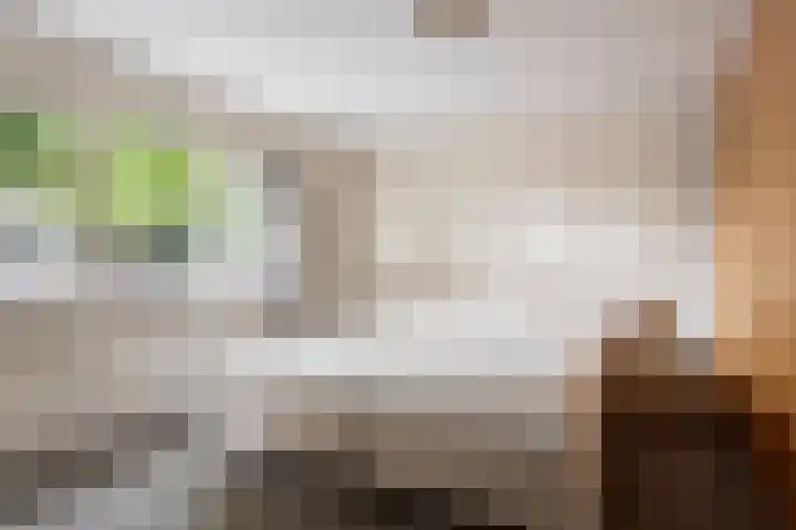 van der Werffstraat 39 Eindhoven thumbnail 18