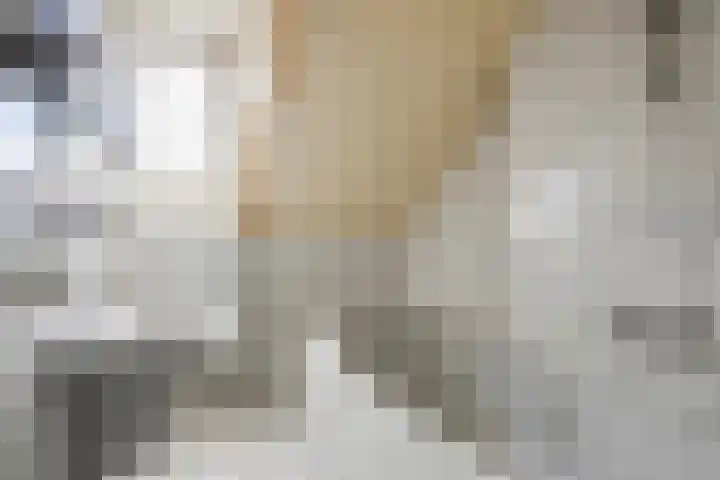 van der Werffstraat 39 Eindhoven thumbnail 27