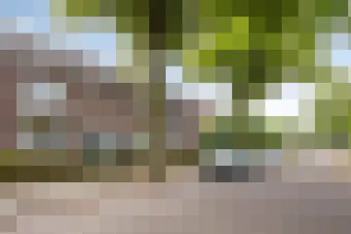 van der Werffstraat 39 Eindhoven thumbnail 30